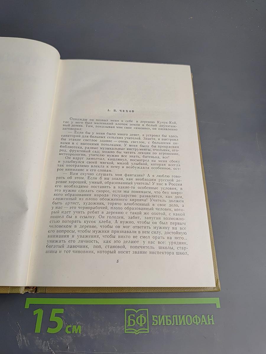 Собрание сочинений. Том 18: Литературные портреты