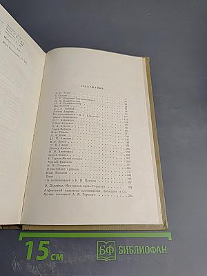 Собрание сочинений. Том 18: Литературные портреты