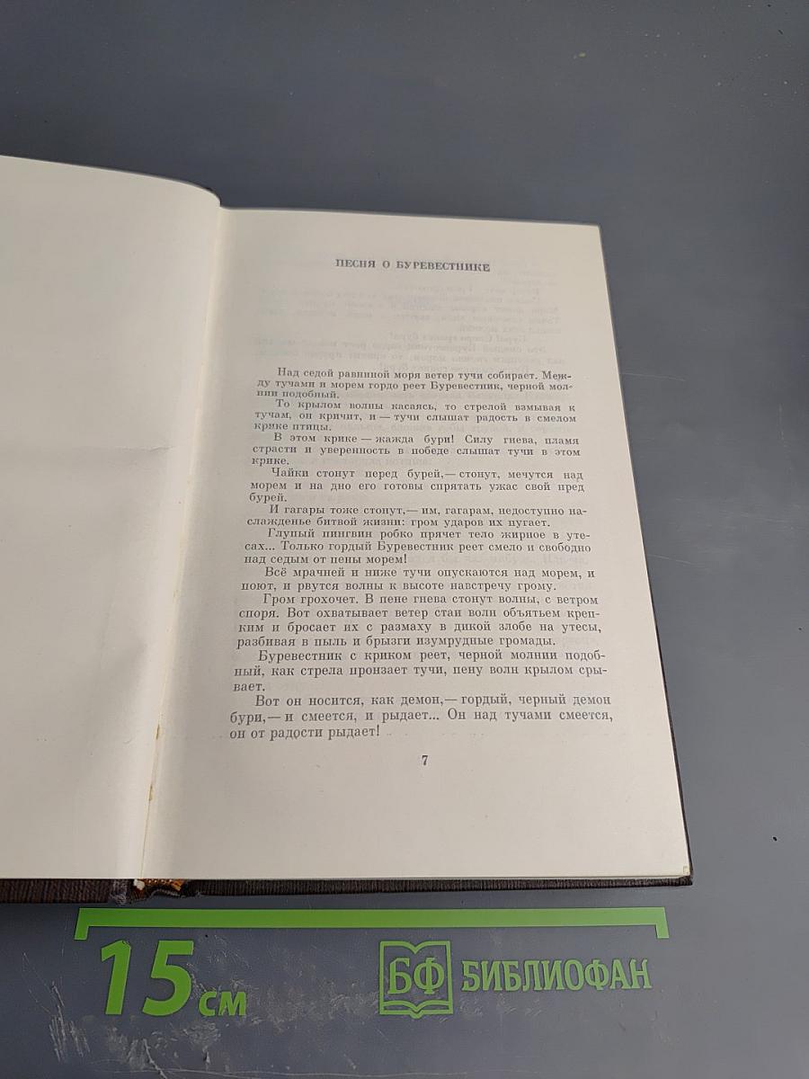 Собрание сочинений. Том шестой: Рассказы, очерки, наброски, стихотворения 1901 – 1907