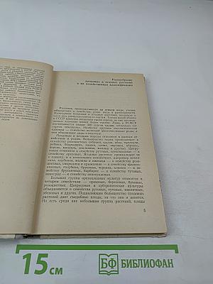 Плодовый сад