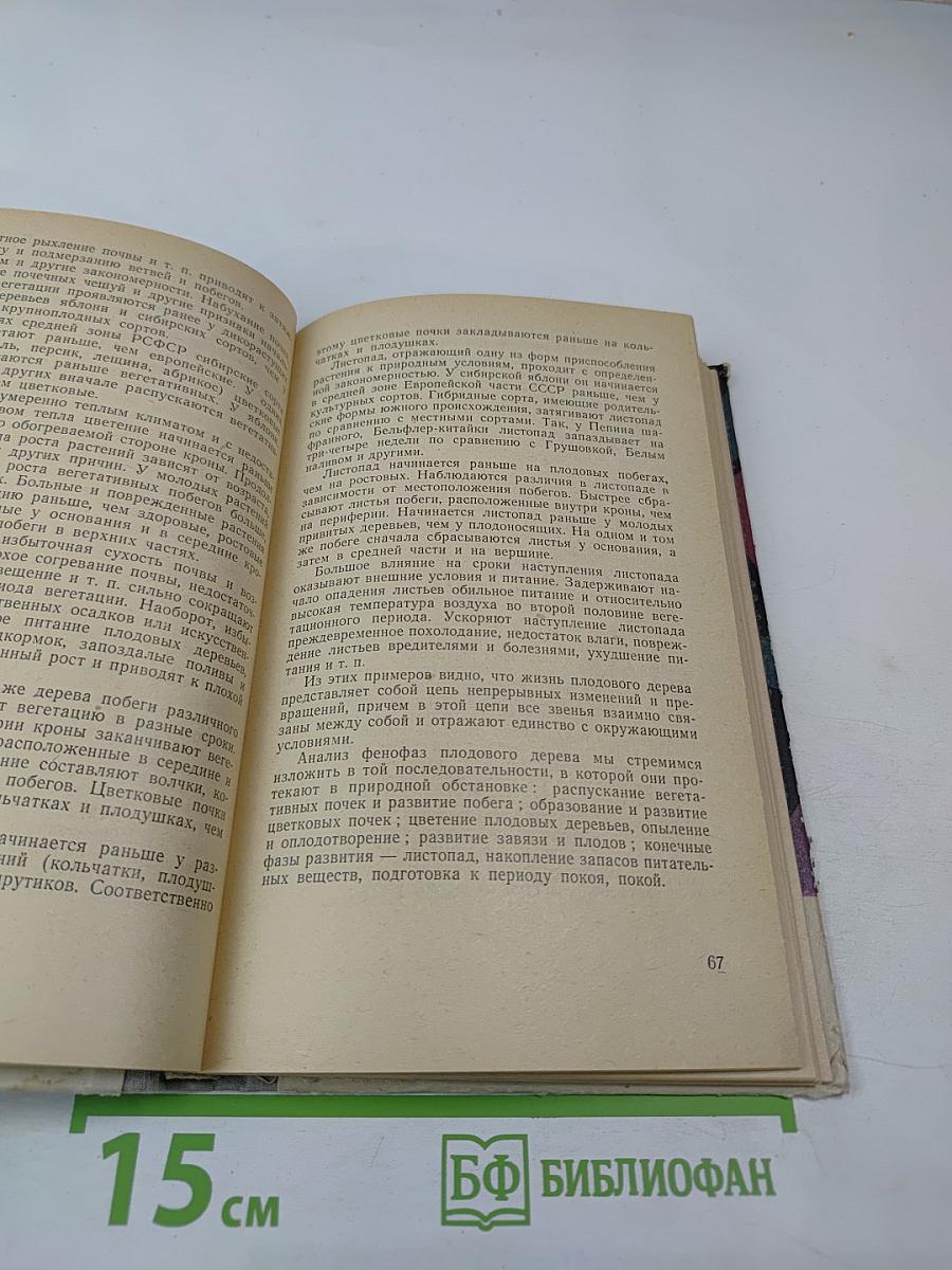 Плодовый сад