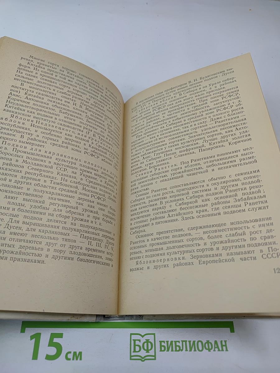 Плодовый сад