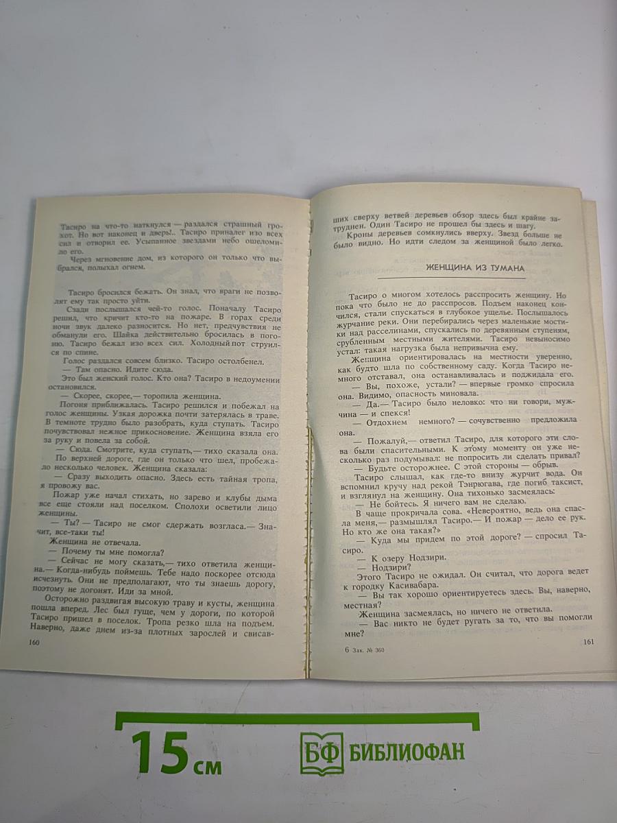 В Тени. Стена Глаз