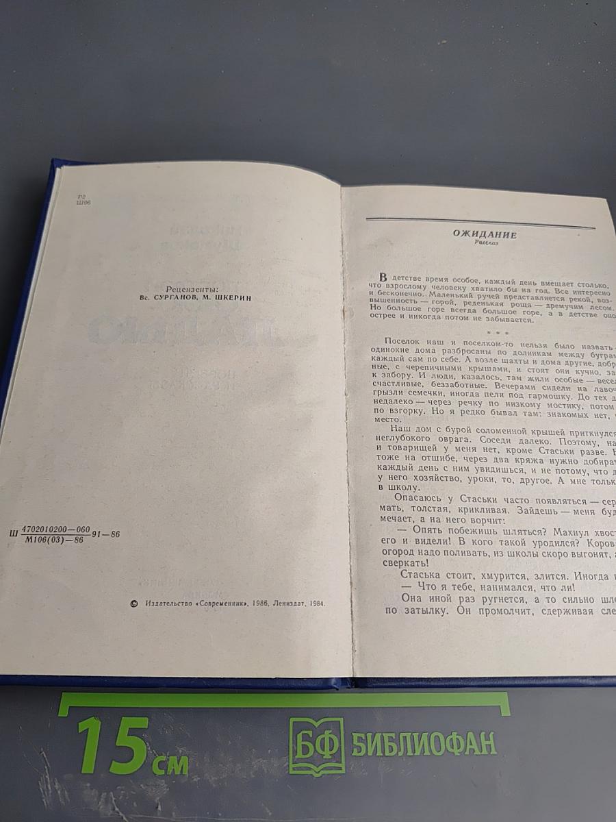 Построй свою ладью