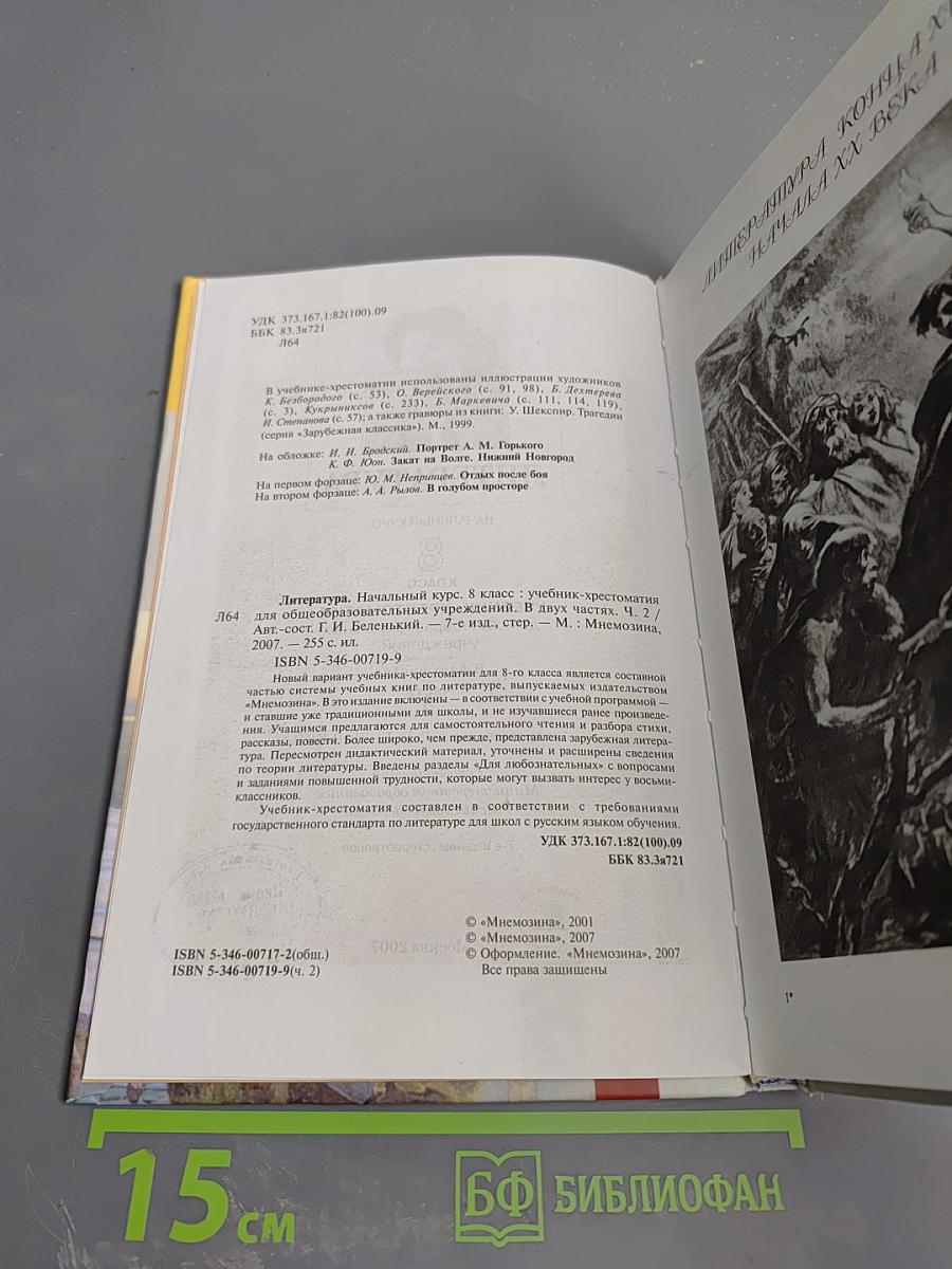 Литература. Начальный курс. 8 класс, часть 2