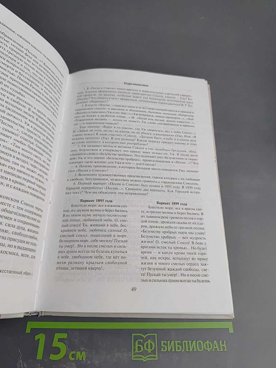 Литература. Начальный курс. 8 класс, часть 2