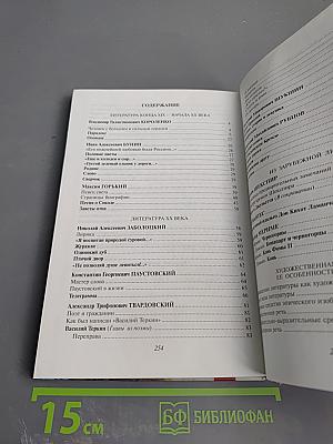 Литература. Начальный курс. 8 класс, часть 2