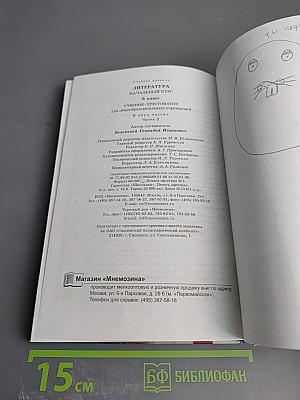 Литература. Начальный курс. 8 класс, часть 2