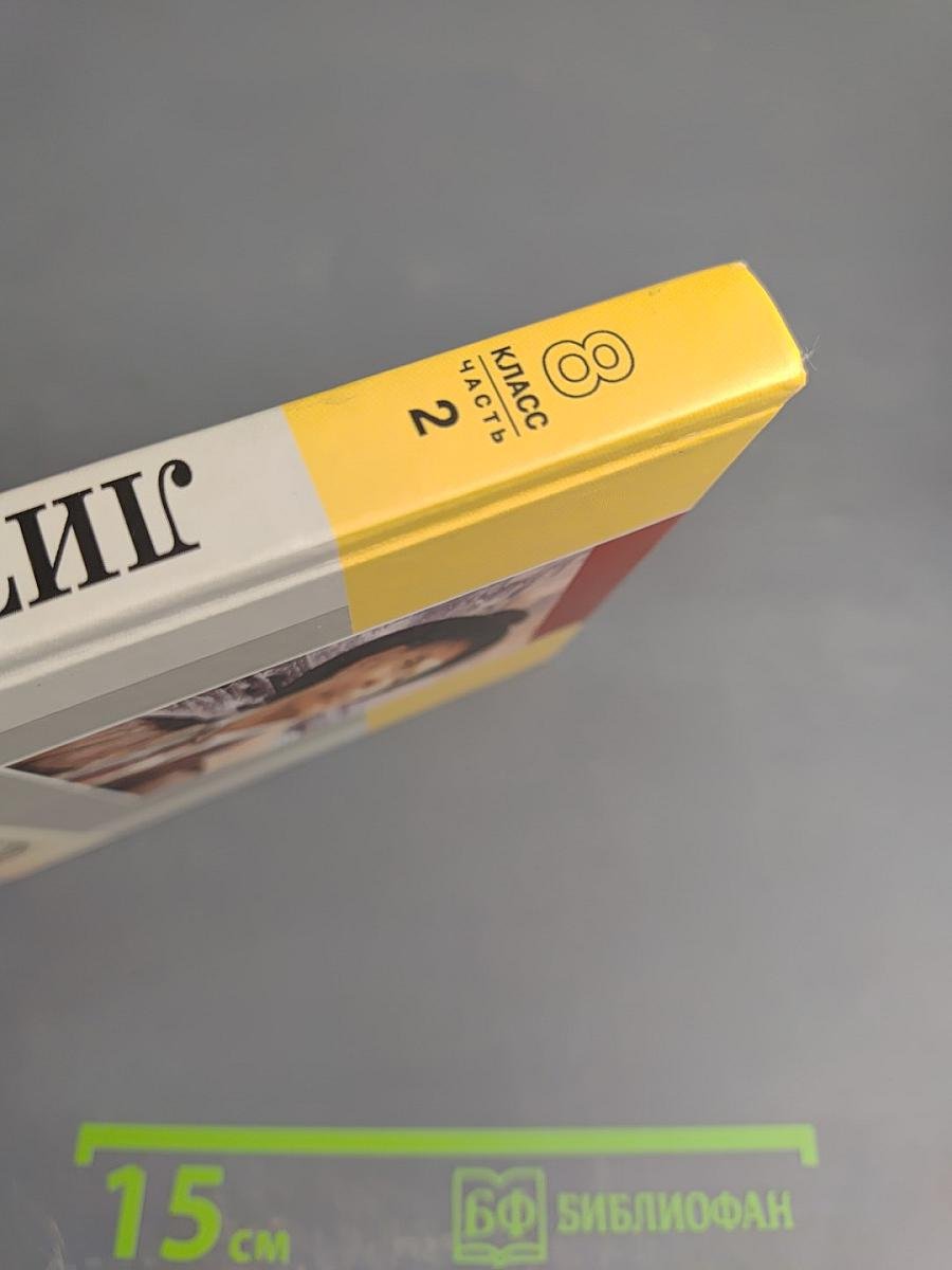 Литература. Начальный курс. 8 класс, часть 2