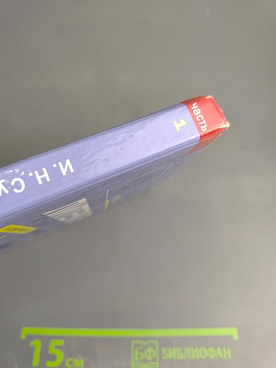 Литература. 10 класс. Часть 1