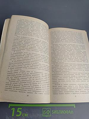 Твой дом, твоя семья