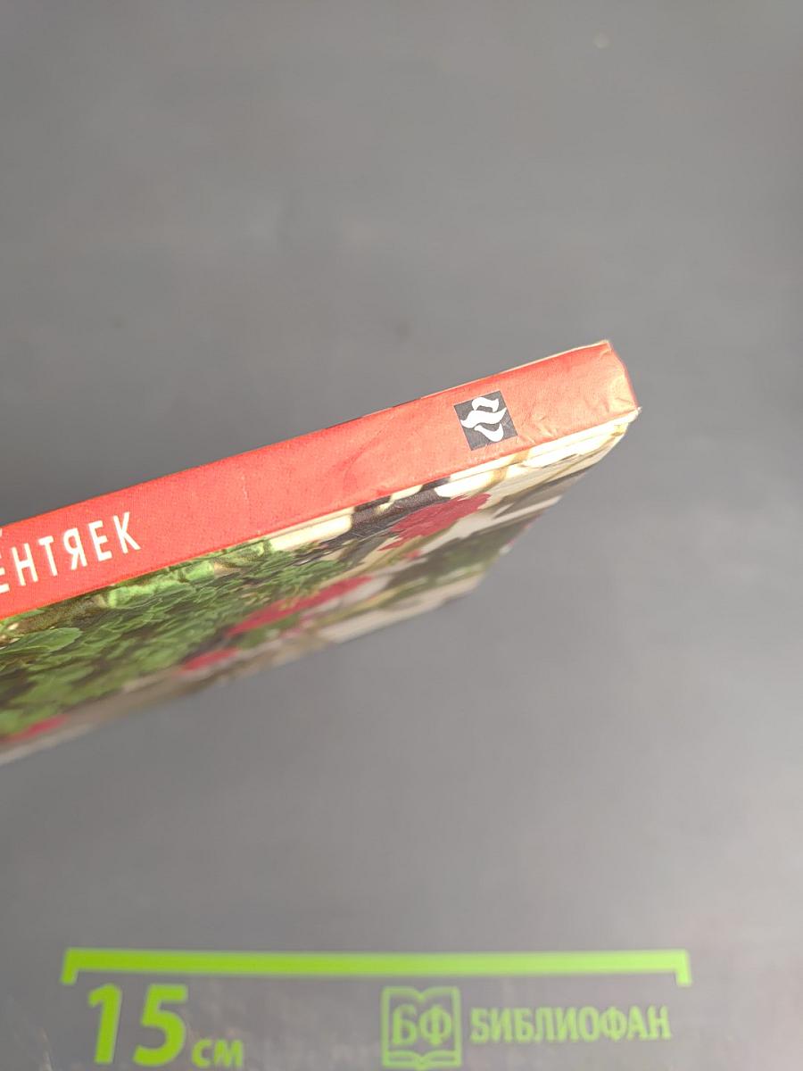 Комнатное цветоводство для лентяек