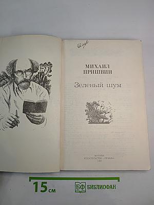 Зеленый шум