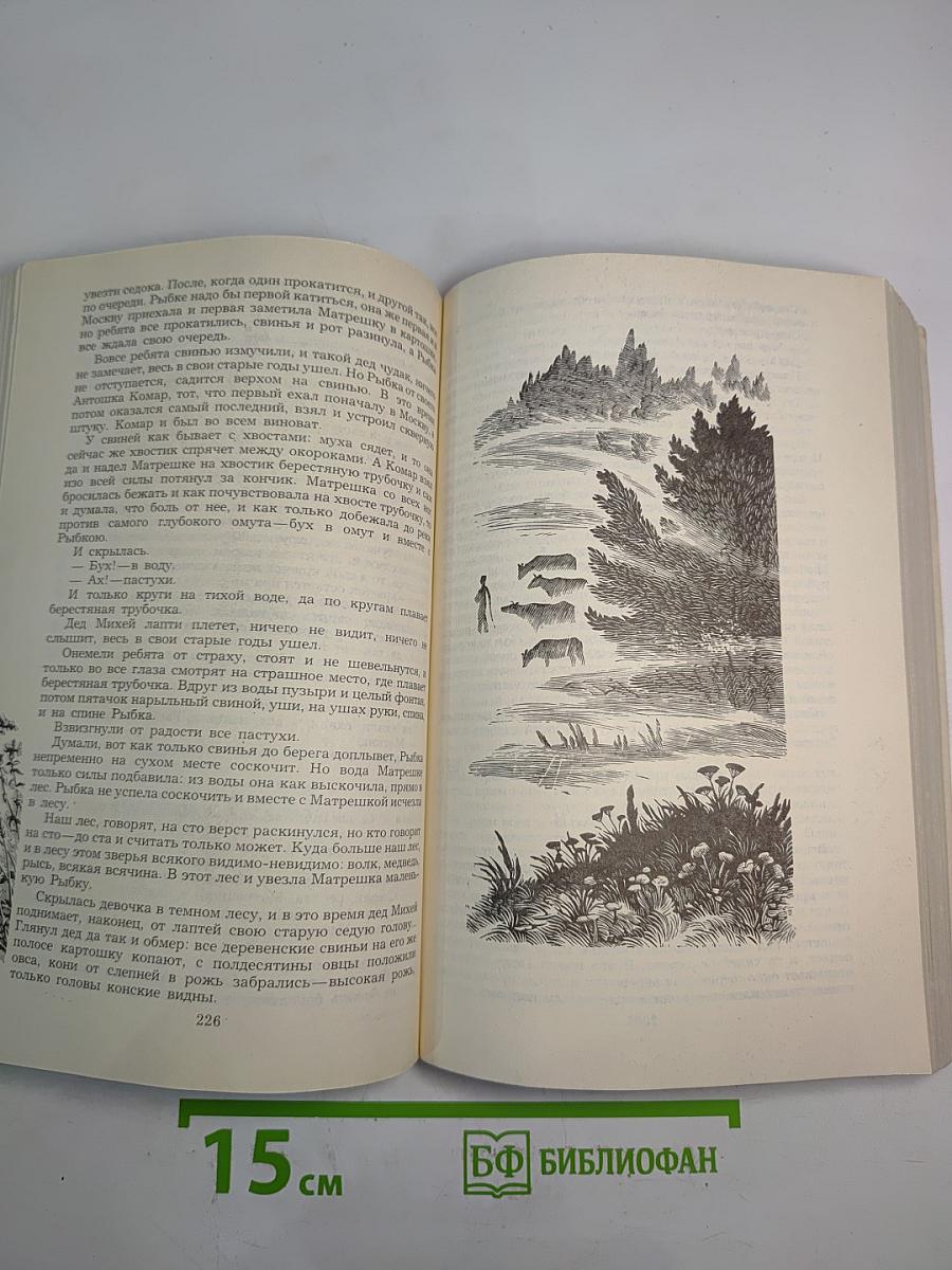 Зеленый шум