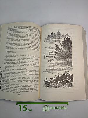 Зеленый шум