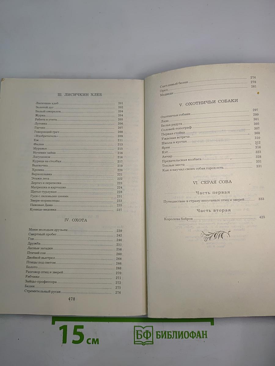 Зеленый шум