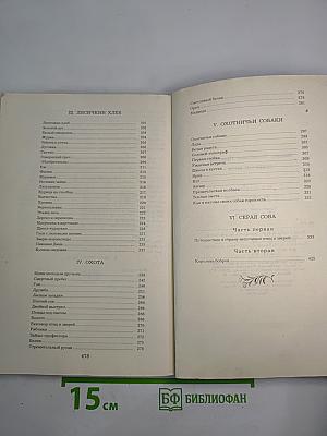 Зеленый шум