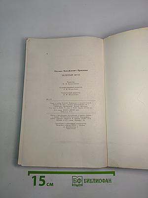 Зеленый шум