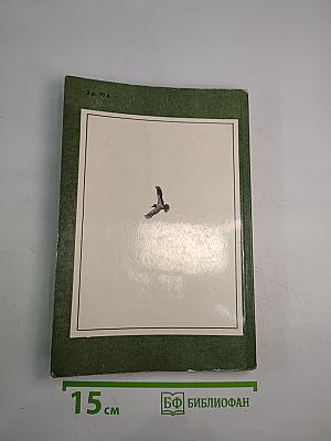 Зеленый шум