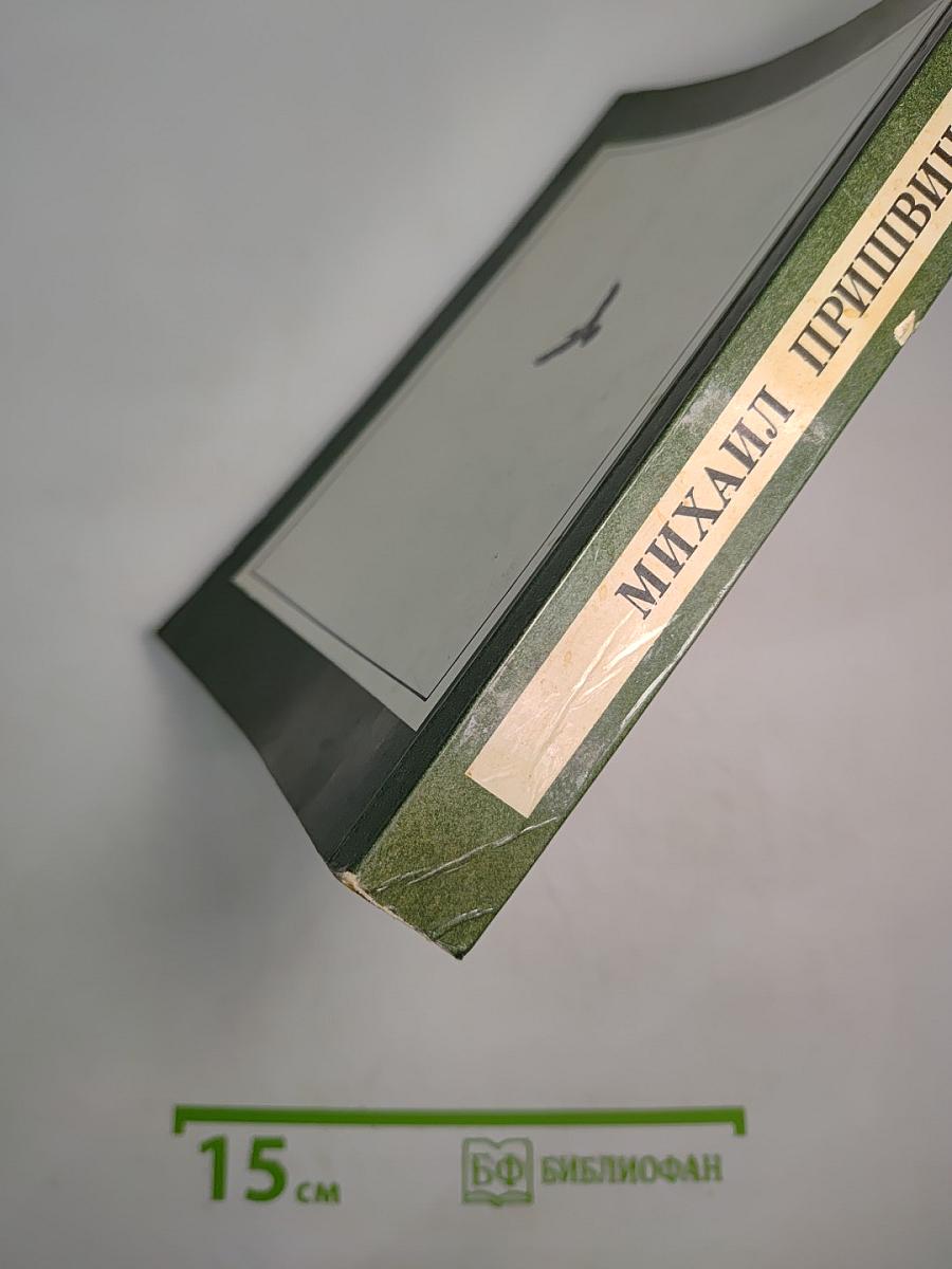 Зеленый шум