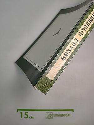 Зеленый шум