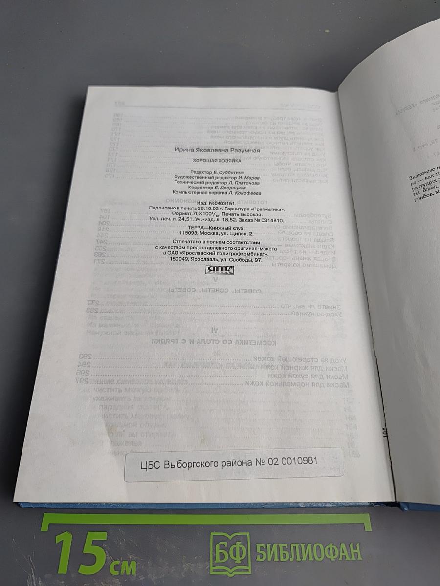 Хорошая хозяйка