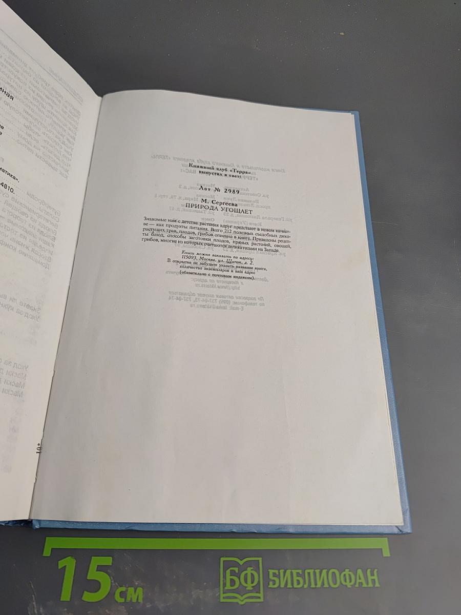 Хорошая хозяйка