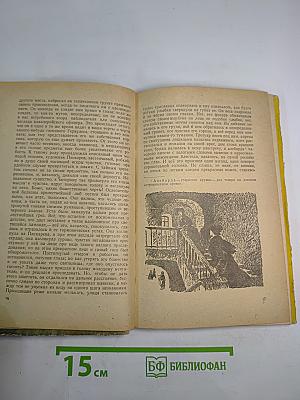 Петербургские повести (для средней школы)