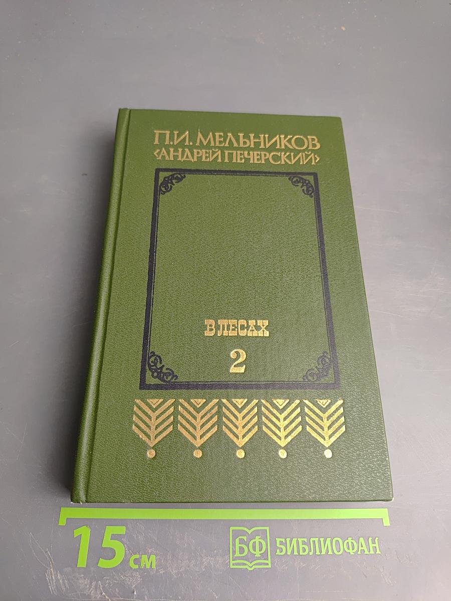 В лесах. Книга вторая