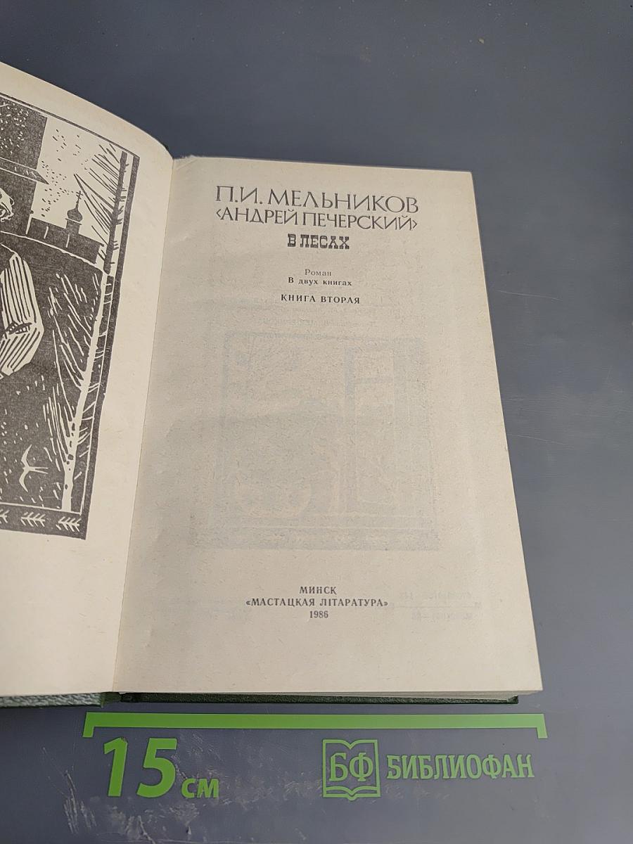 В лесах. Книга вторая