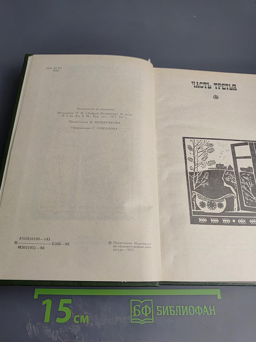 В лесах. Книга вторая