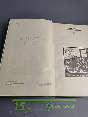 В лесах. Книга вторая