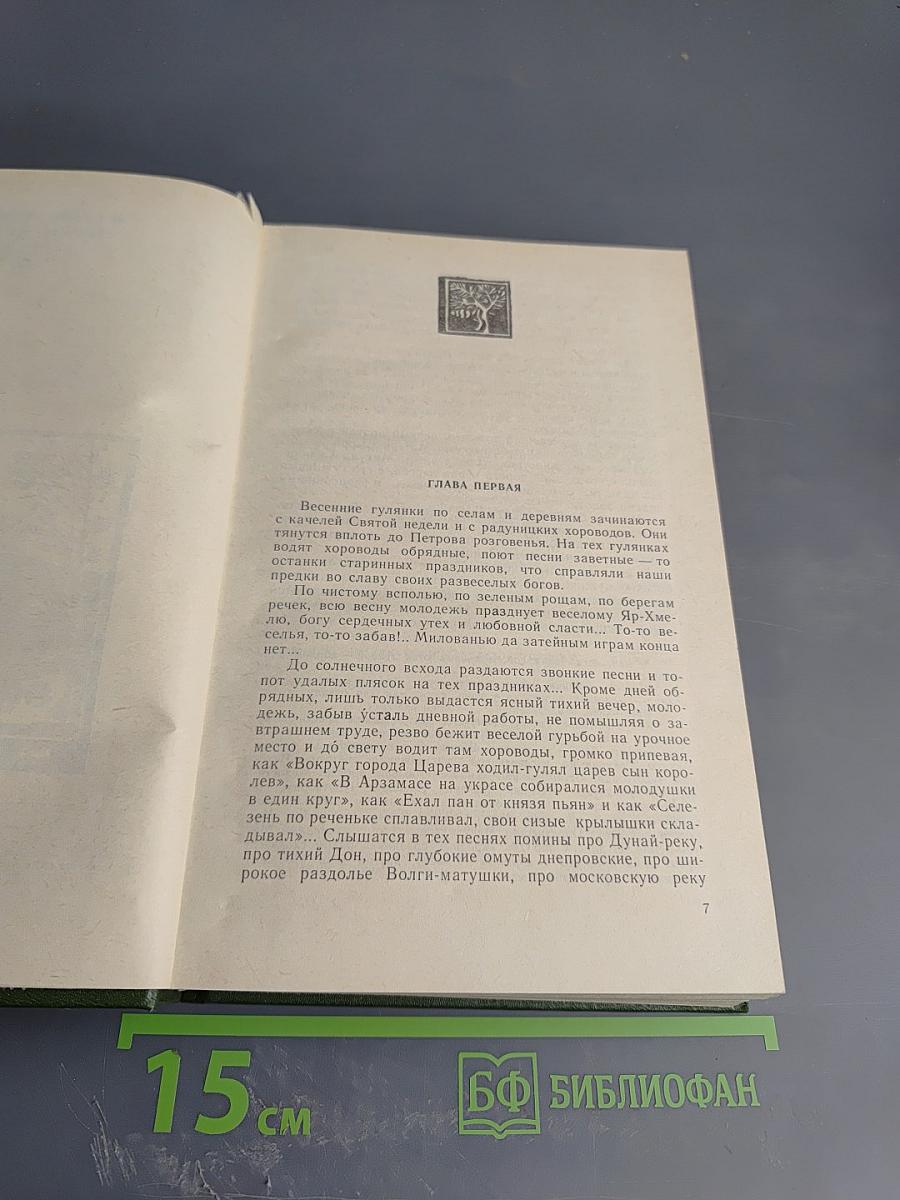 В лесах. Книга вторая