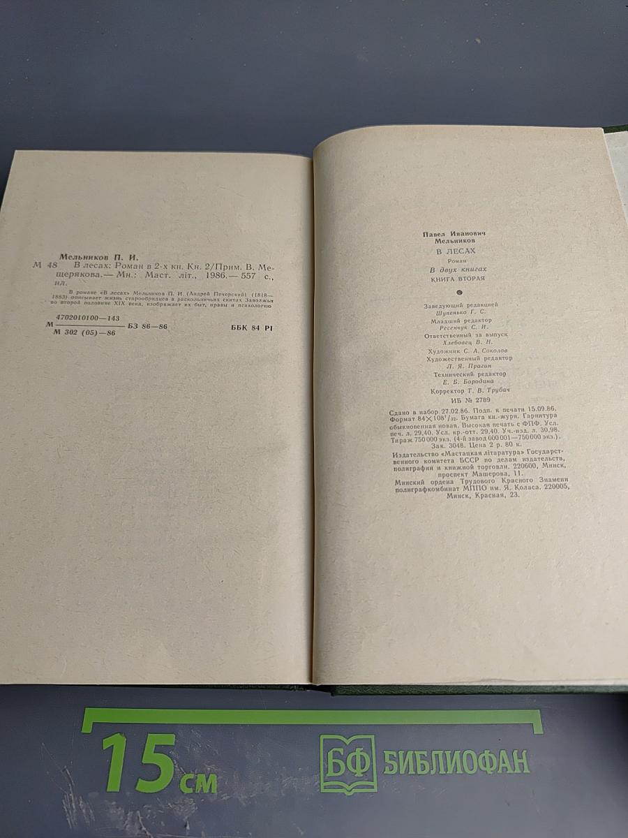 В лесах. Книга вторая