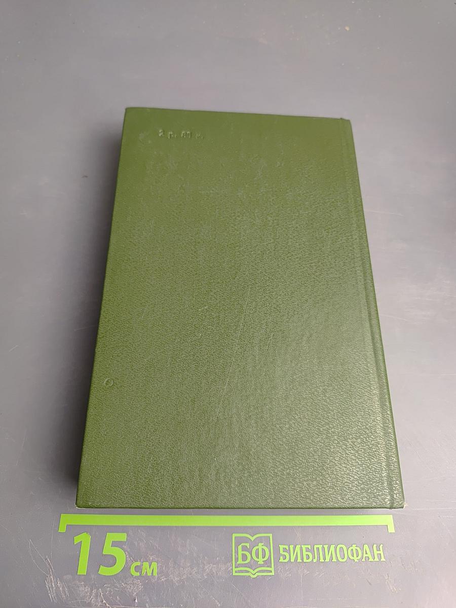 В лесах. Книга вторая