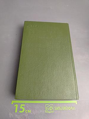 В лесах. Книга вторая