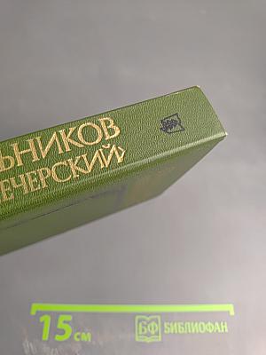 В лесах. Книга вторая