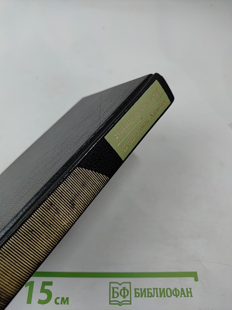 Вечные мгновения