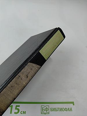 Вечные мгновения