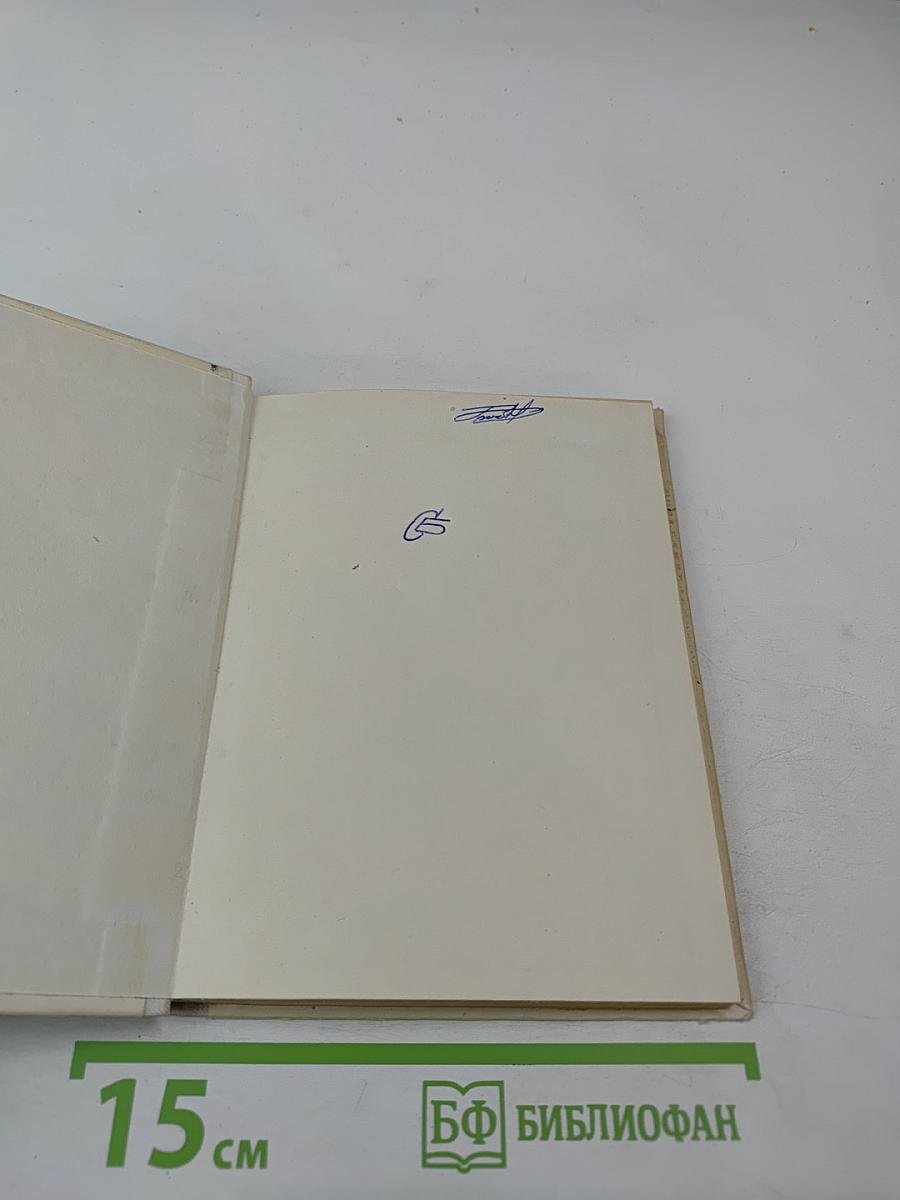 Звезда в тумане