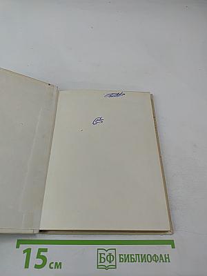 Звезда в тумане