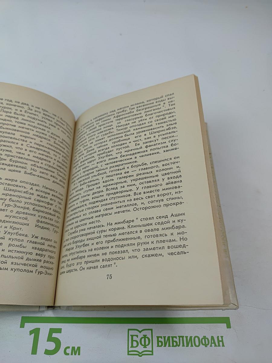 Звезда в тумане