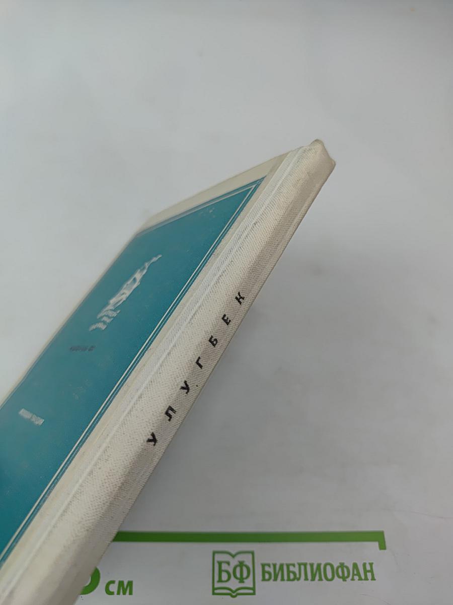 Звезда в тумане