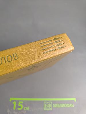 Повести ленинградских писателей. Юван Шесталов. Тайна Сорни-Най. Когда качало меня солнце