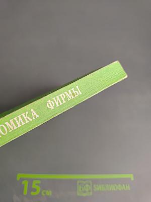 Экономика фирмы