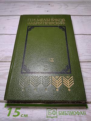 В лесах. Книга вторая