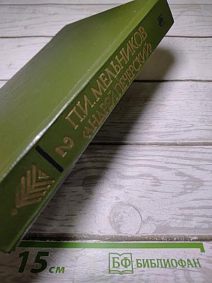В лесах. Книга вторая