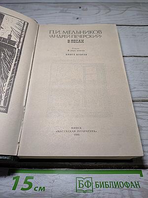 В лесах. Книга вторая