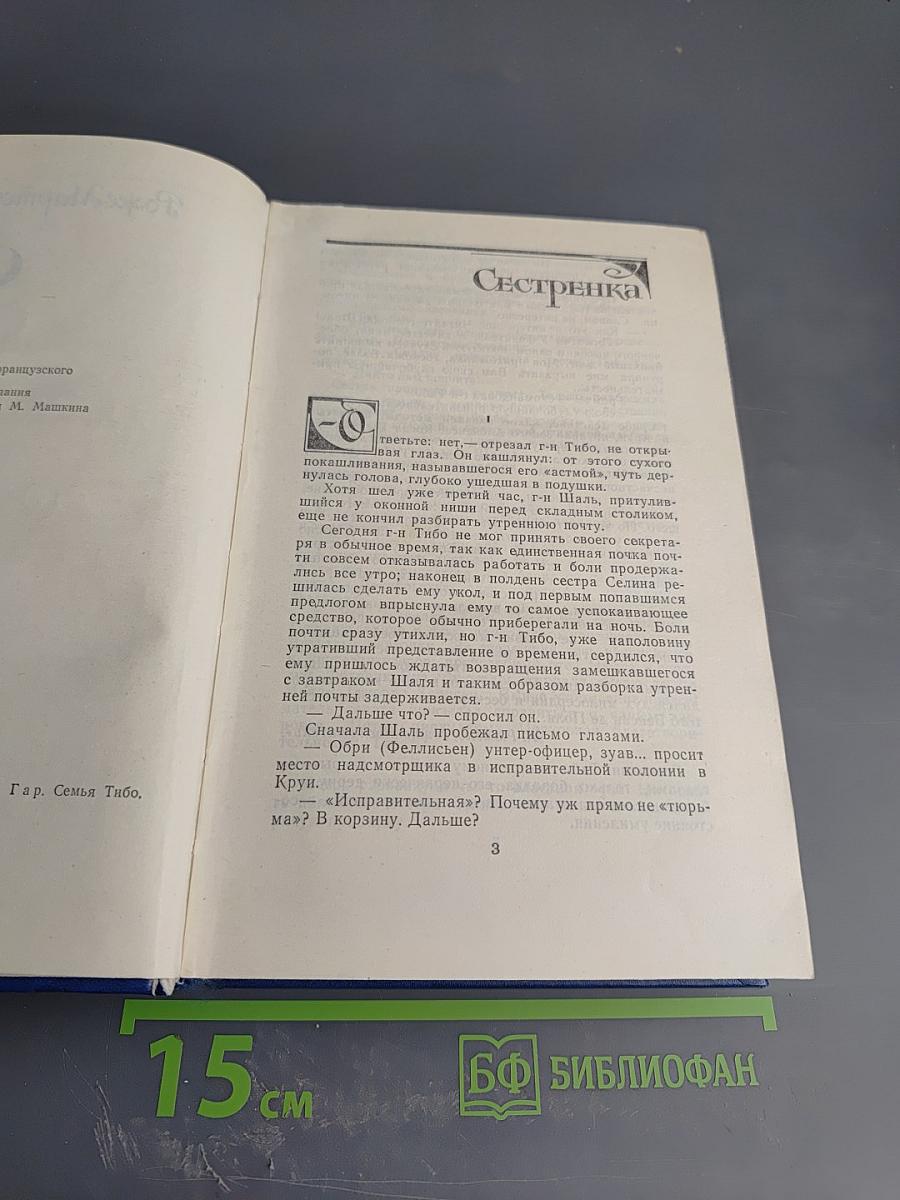 Семья Тибо. Том 2