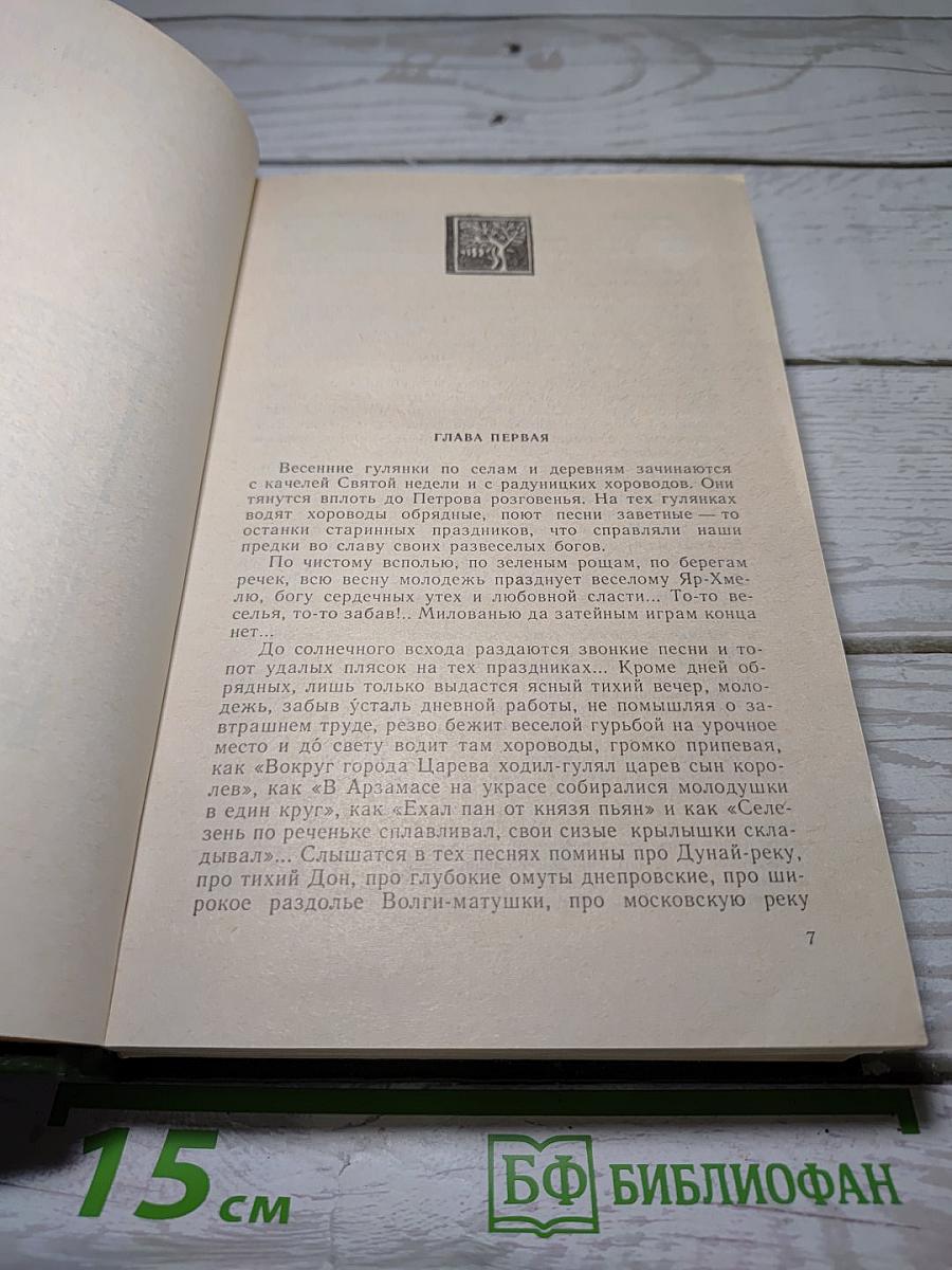 В лесах. Книга вторая